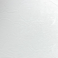 PVC Marmer Plaat - Effen White - MAT - 280 x 120 cm