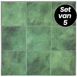 Plaktegels – Palm Leaf - 30,5 x 30,5 cm - Set van 5