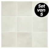 Plaktegels – Old Champagne Rio - 30,5 x 30,5 cm - Set van 5