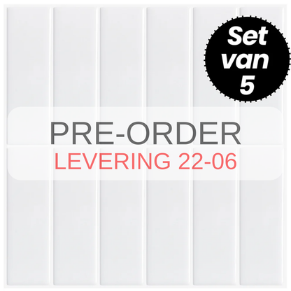 Plaktegels – Alta White - 30,5 x 30,5 cm - Set van 5