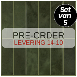 Plaktegels – Moroccan Green - 30,5 x 30,5 cm - Set van 5